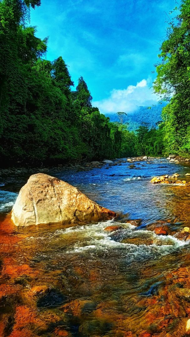 stongriver%20(1)-3fd52085