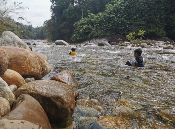 stongriver%20(3)-a31c44dd